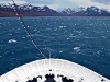 South Georgia Island