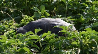 urbina-bay-0055a