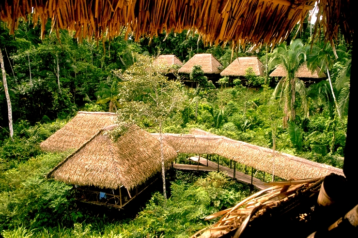 Sacha Lodge