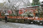 japan-shinto-shrine