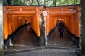 japan-fujima-inari