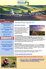Newsletter grab 175 px