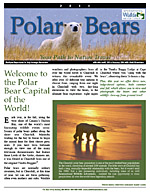 Polar Bear itinerary Thumb 150px