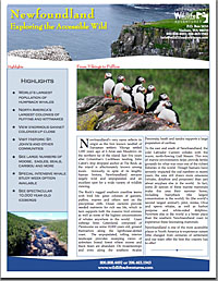 Newfoundland