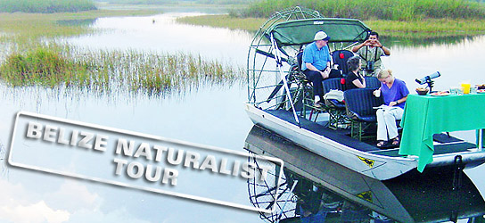 Belize_Naturalist_header