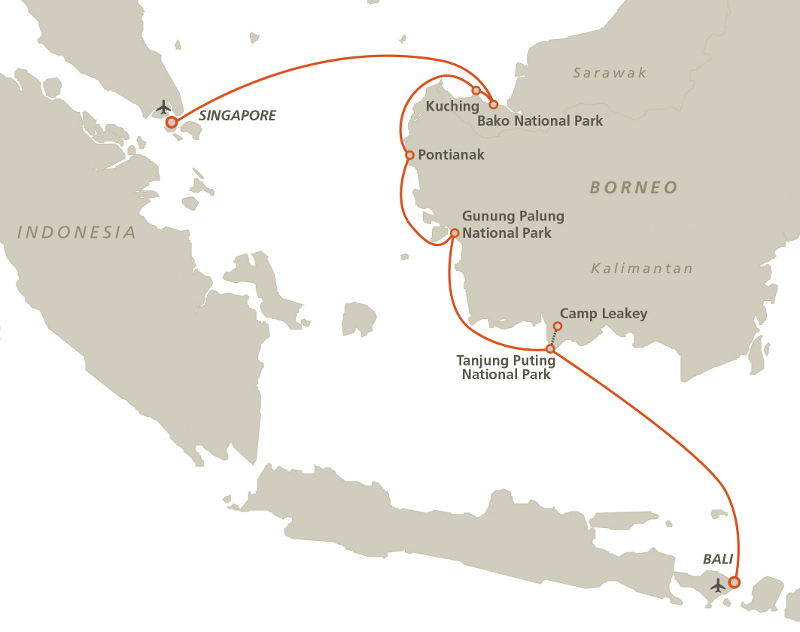 Borneo_wildlife src=