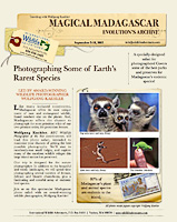 Madagascar2012thumb