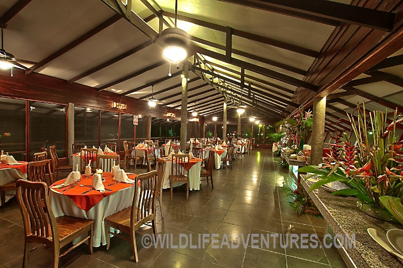 Restauramte_Pachira_1_1