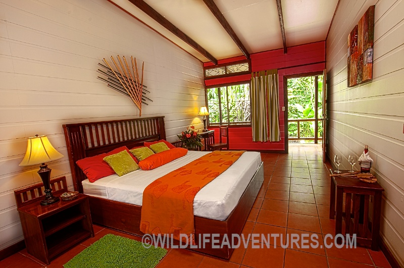 habitacion_pachira_2_1