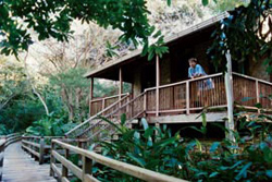 duPlooys_bungalow_ext