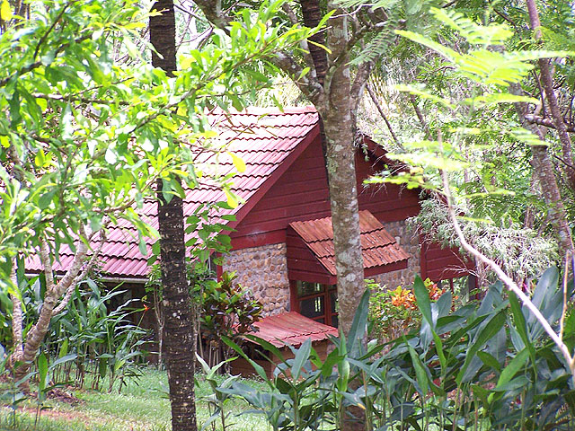 duPlooys_junglelodge8