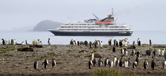 cruises