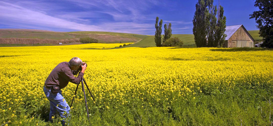 Palouse_photography