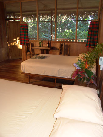sacha_interior