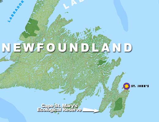 whalewatching-map