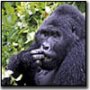 Rwanda