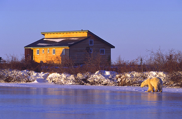 Dimond Lake Lodge