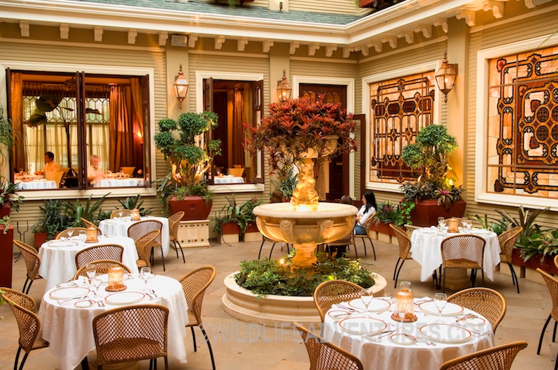 restaurant 2 1