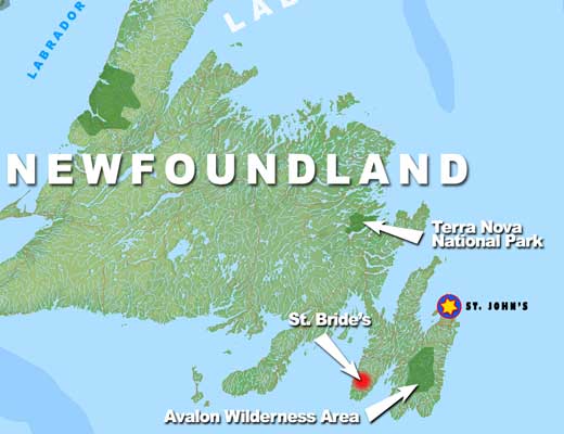 Где остров ньюфаундленд. Остров ньюфаундленд на карте. Ньюфаундленд Северная Америка. Ньюфаундленд на карте Северной Америки.